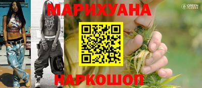 дмт Будённовск