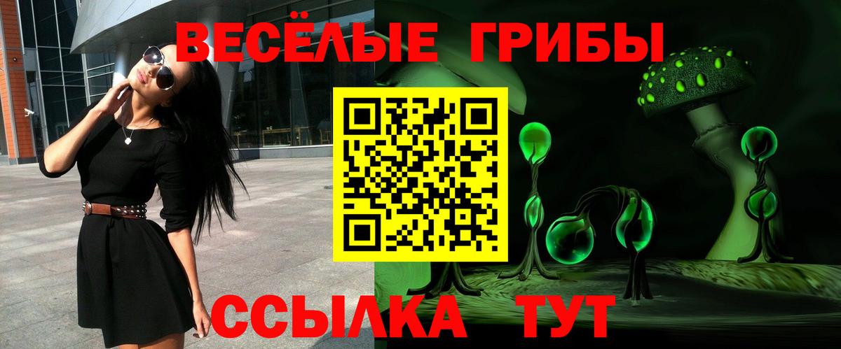 Псилоцибиновые грибы прущие грибы  Вход с VPN  Ликино-Дулёво 